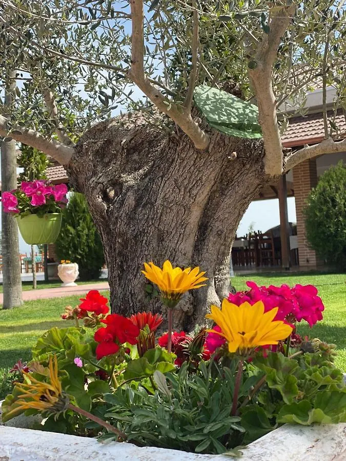 Ardenica Boutique Hotel Lushnjë
